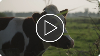 thumbnail agri&food