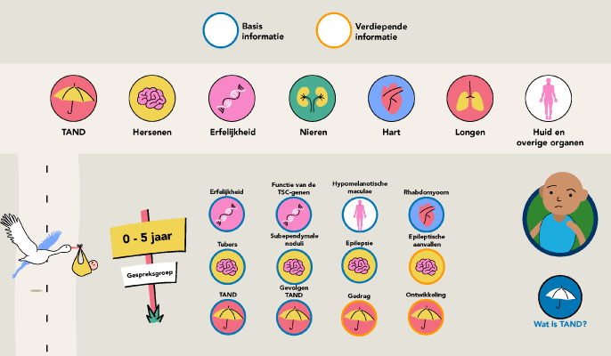 preview interactieve infographic STSN