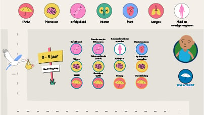 Portfolio - Infographic - STSN